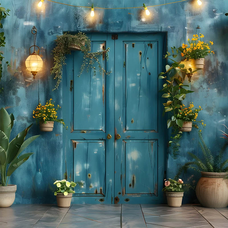 Vintage Photography Lighting - Mehofond Vintage Wallการถ่ายภาพฉากหลังRusticประตูคลอดบุตรผู้ใหญ่วันเกิดBoho Grass Light Decorพื้นหลังสตูดิโอ