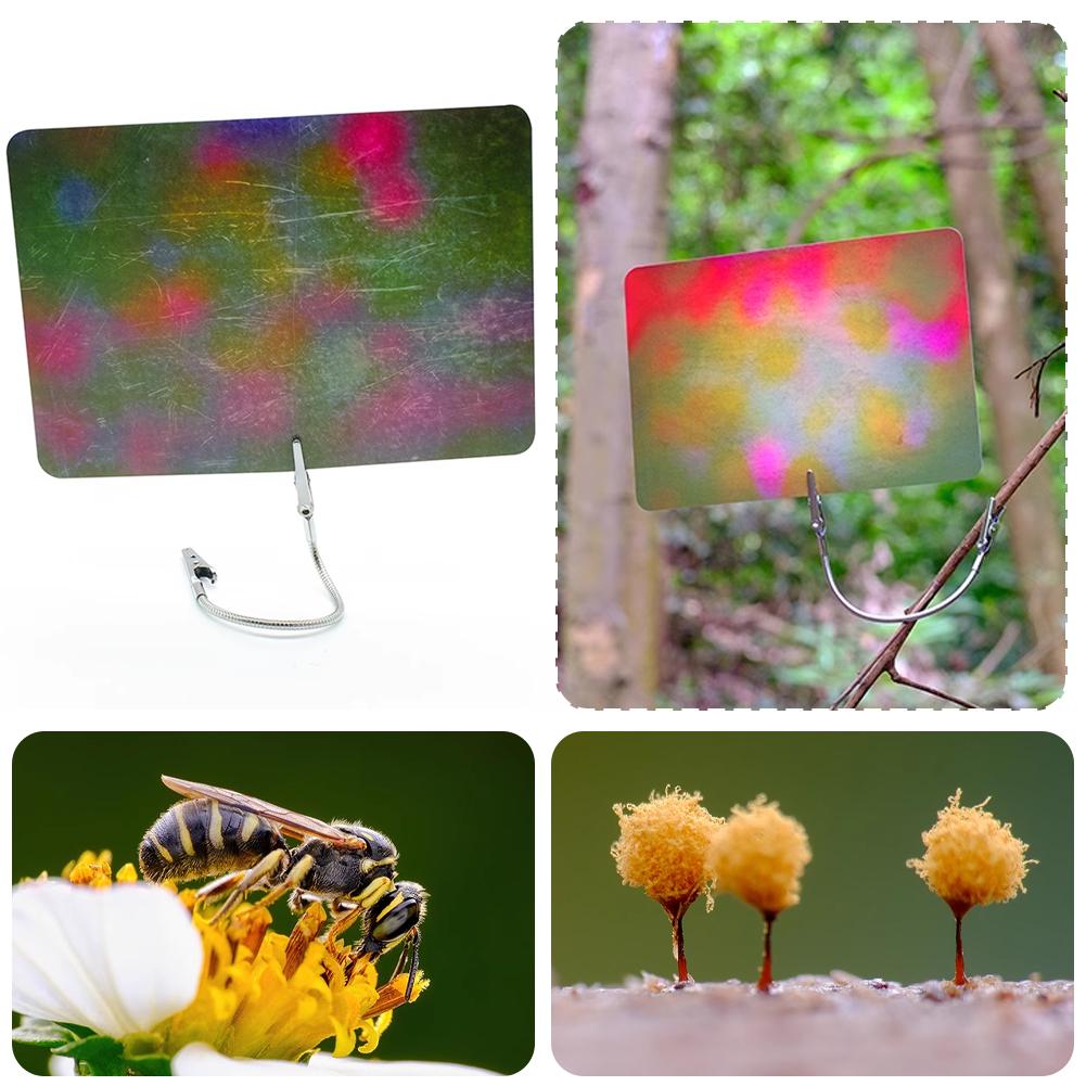 การ์ดพื้นหลังสำหรับถ่ายภาพมาโค - Photography Lighting Material บทวิจารณ์และราคา